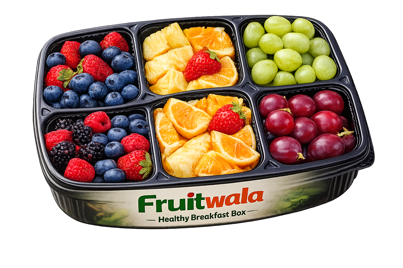 Fresh • Premium • Beautifully Packed