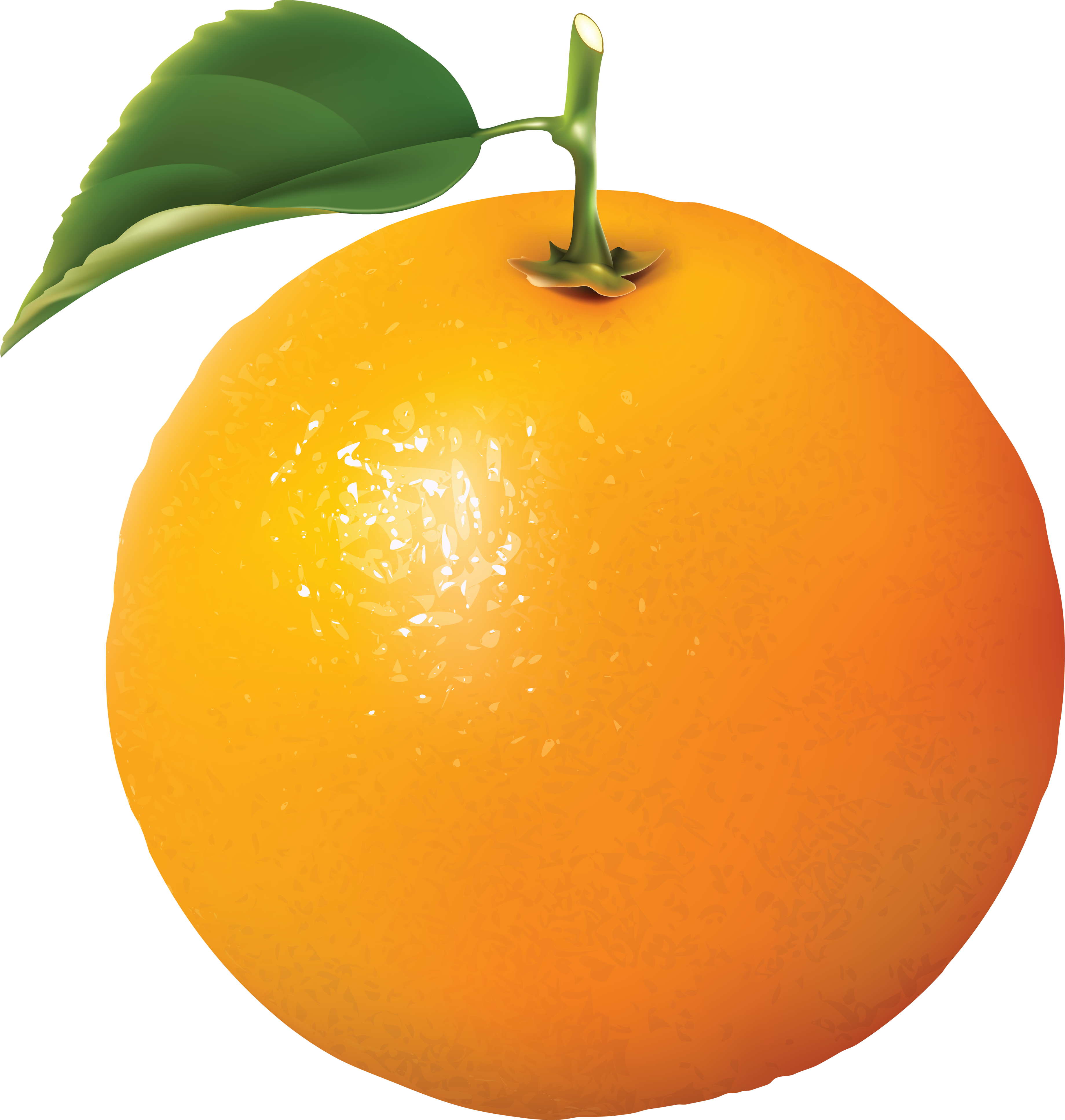 image_not_found